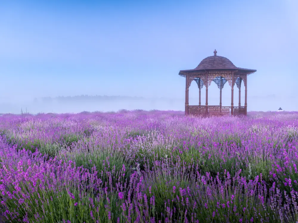 Holistic Resonance Healing in Suffolk