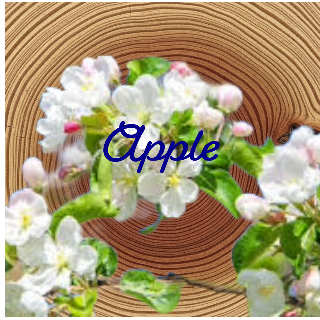 Flower Essence | Apple