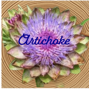 Flower Essence | Artichoke