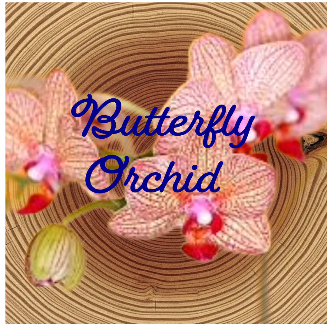 Flower Essence | Butterfly Orchid