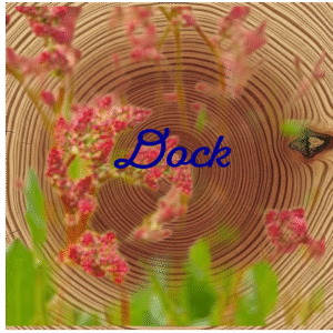 Flower Essence | Dock