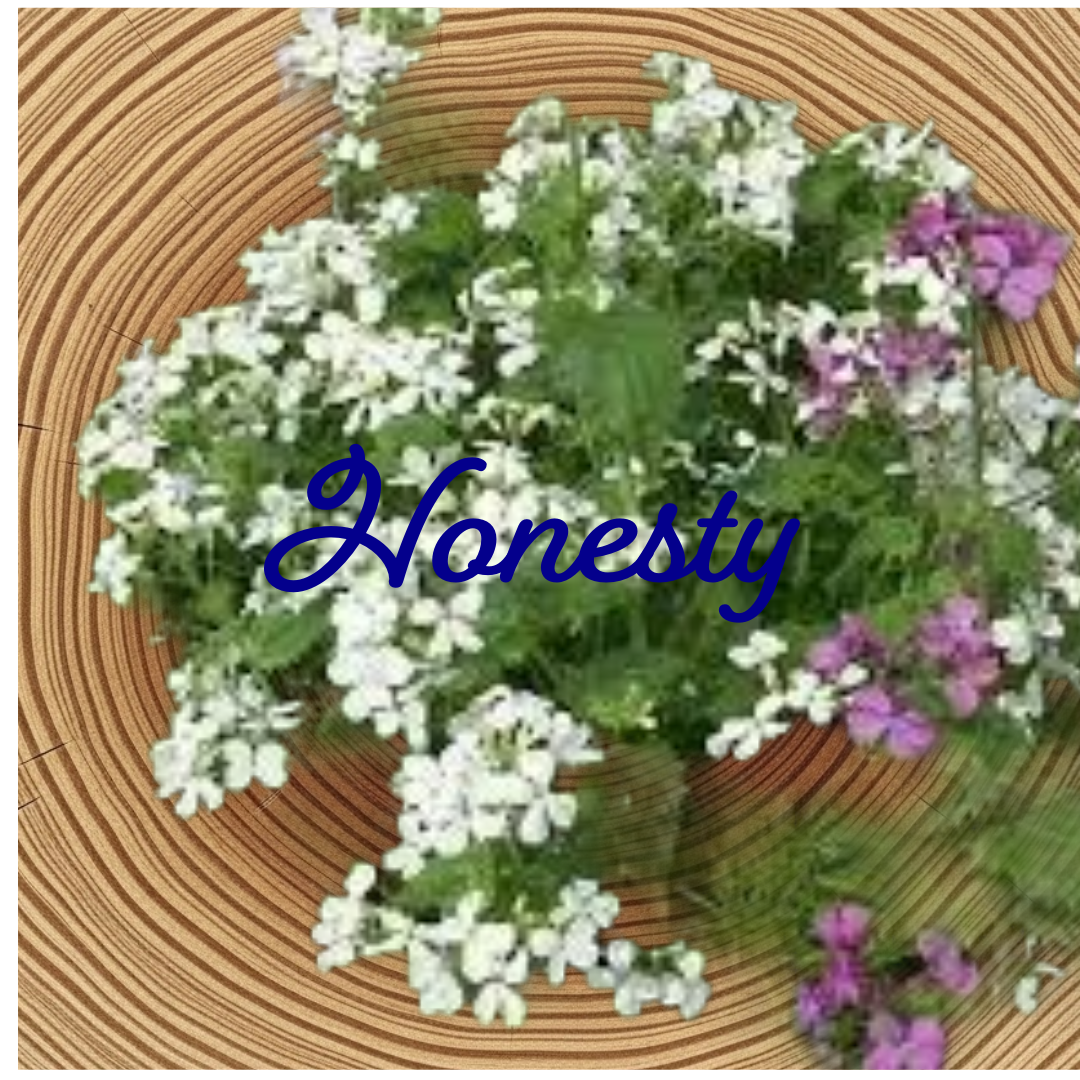Flower Essence | Honesty
