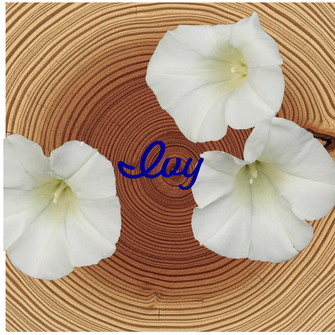 Flower Essence | Ivy