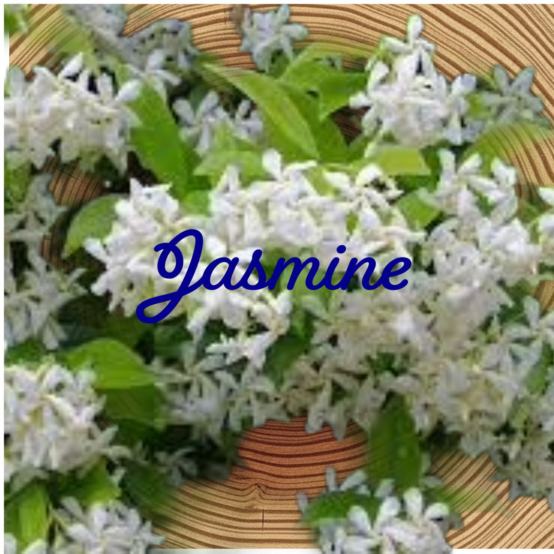 Flower Essence | Jasmine