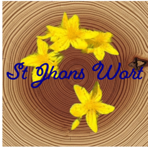 Flower Essence | St Johns Wort