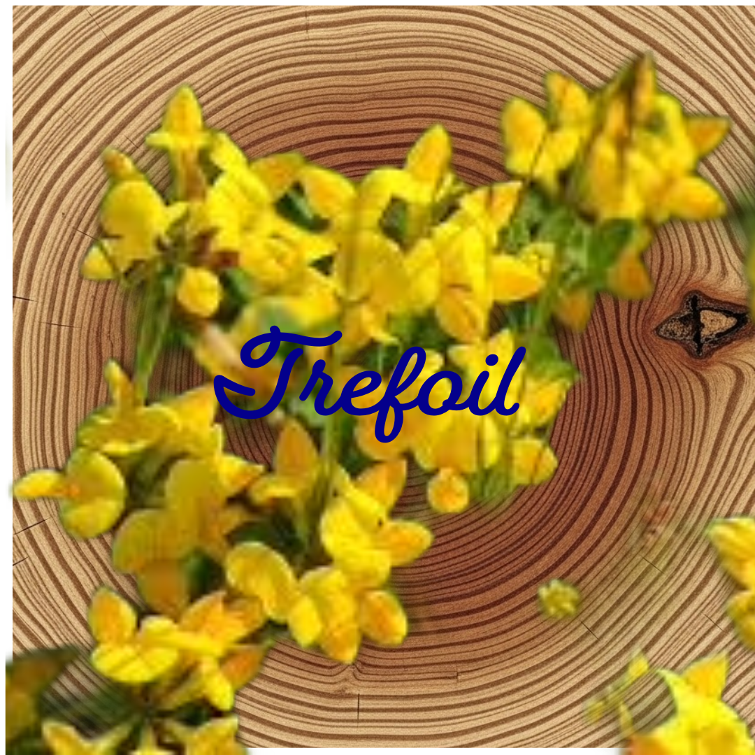 Flower Essence | Trefoil