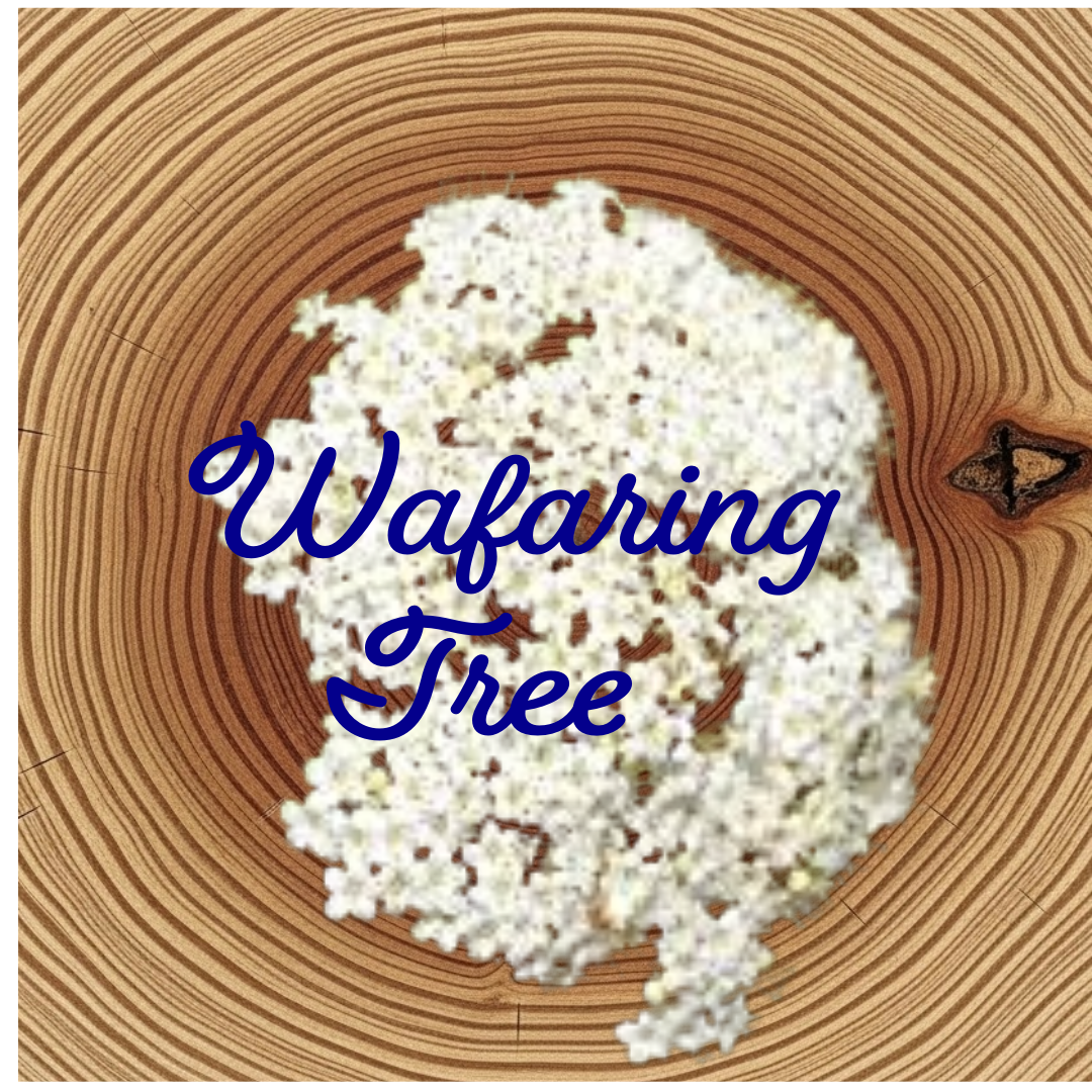 Flower Essence | Wayfaring Tree