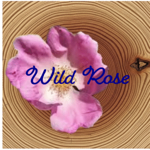Flower Essence | Wild Rose