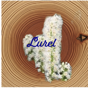 Flower Essence | Laurel