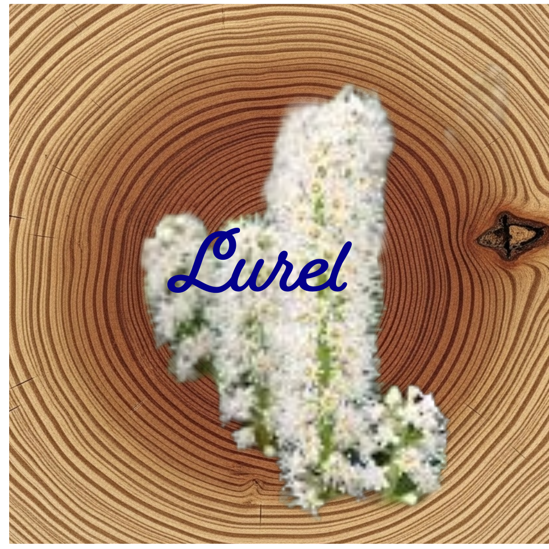 Flower Essence | Laurel