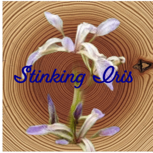 Flower Essence | Stinking Iris