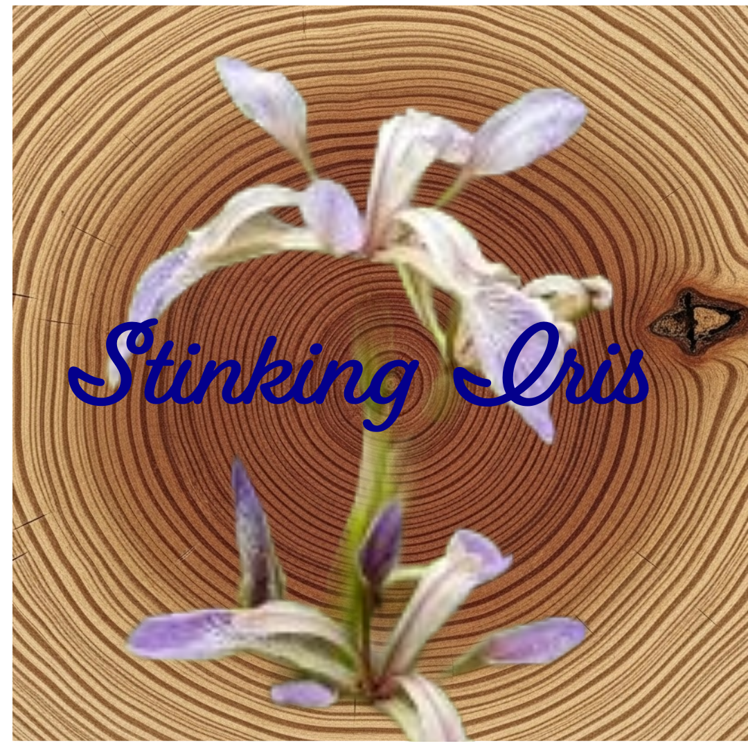 Flower Essence | Stinking Iris