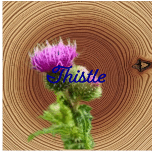 Flower Essence | Thistle