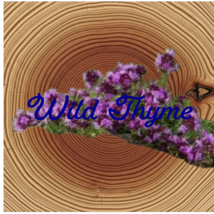 Flower Essence | Wild Thyme