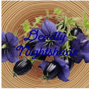 Flower Essence | Deadly Nightshade