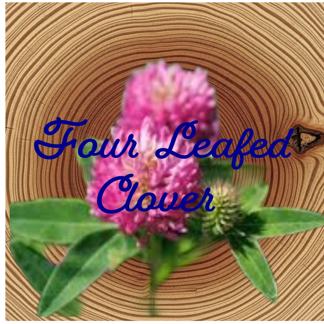 Flower Essence | Four-Leaf Clover