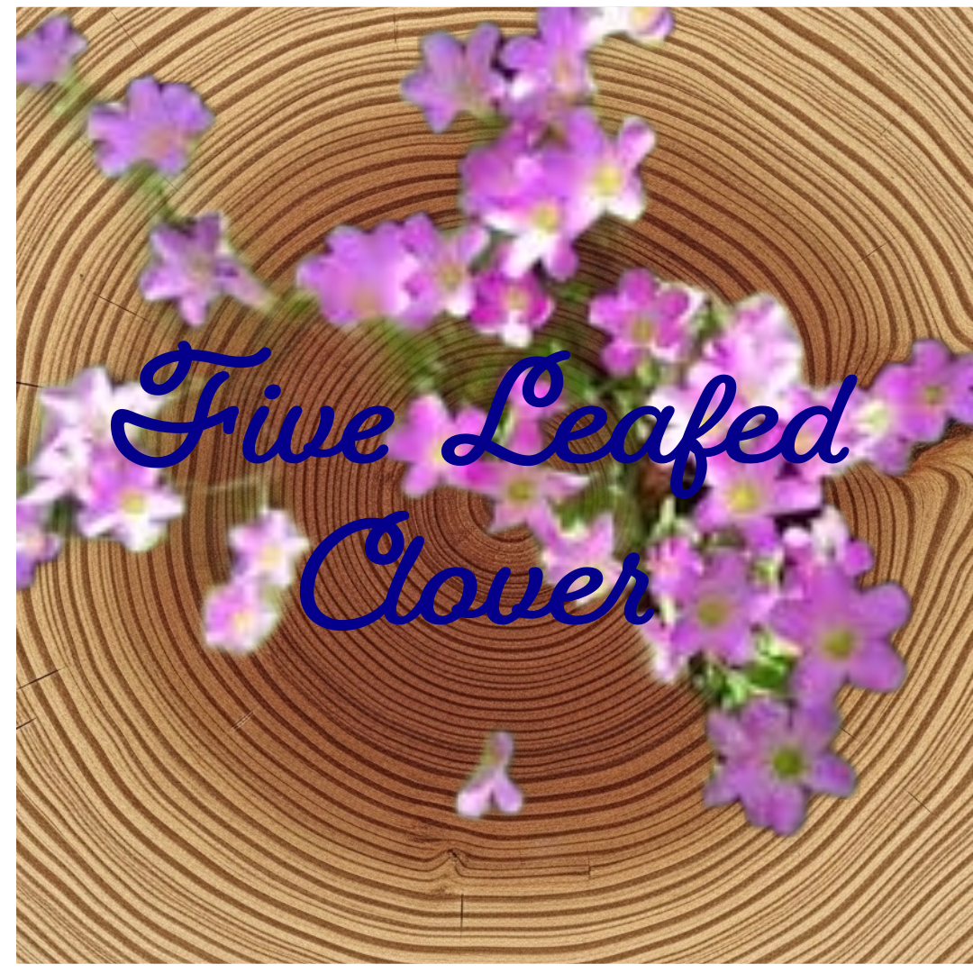 Flower Essence | Five-Leaf Clover