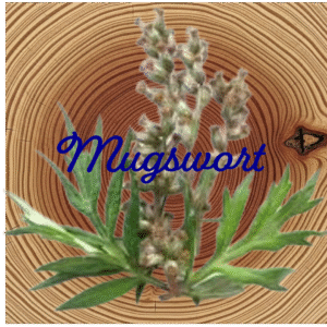 Flower Essence | Mugwort
