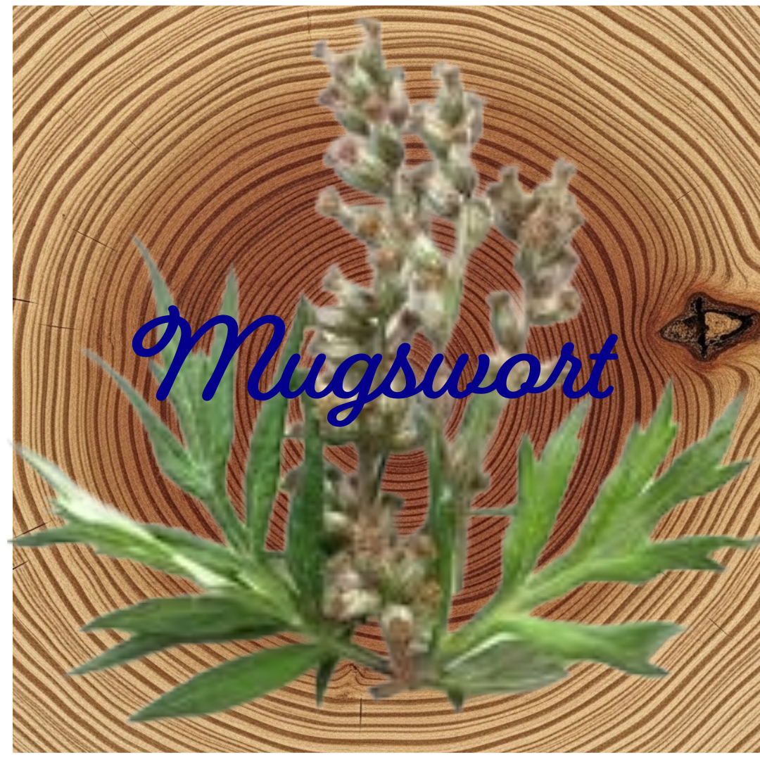 Flower Essence | Mugwort