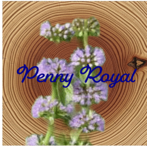 Flower Essence | Penny Royal
