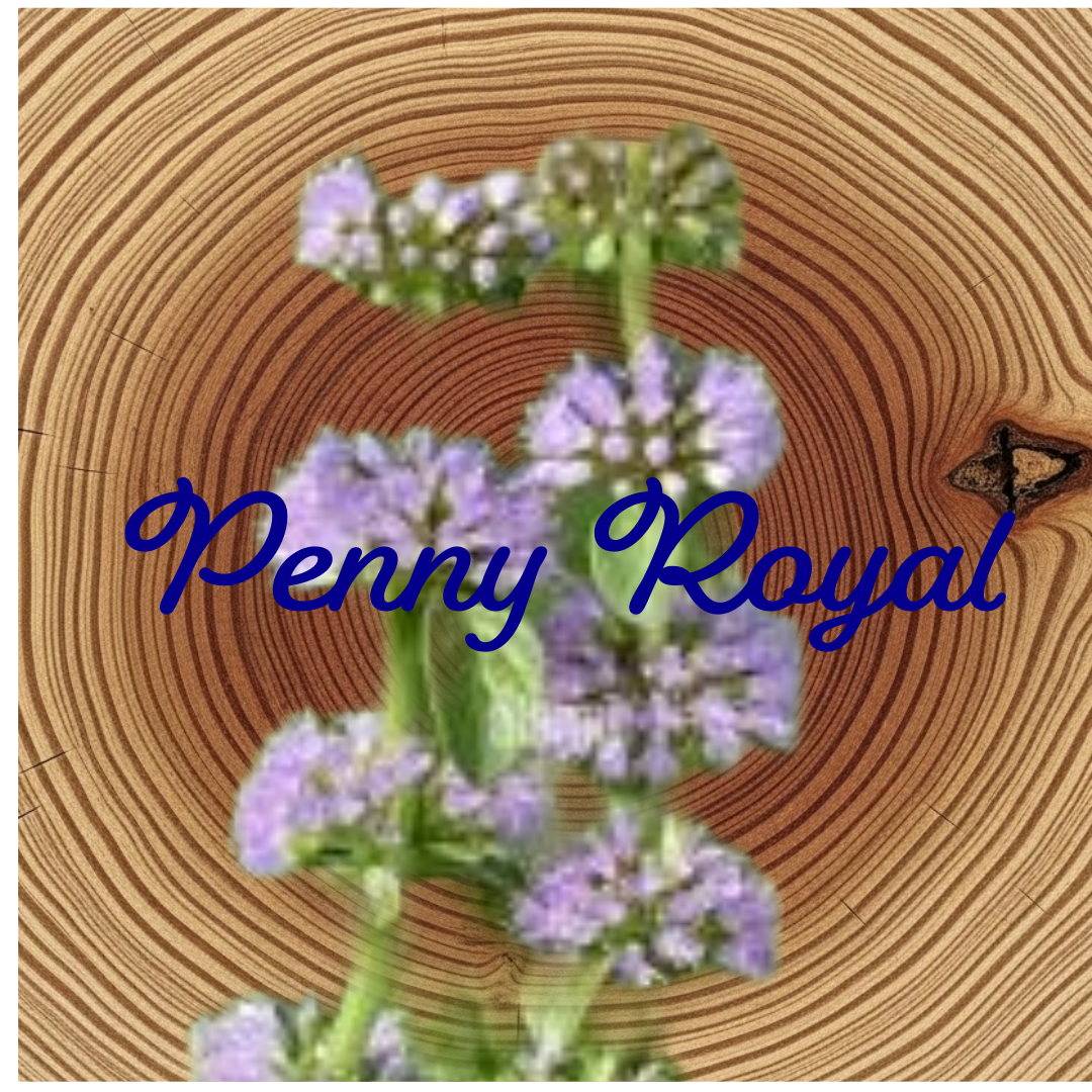 Flower Essence | Penny Royal