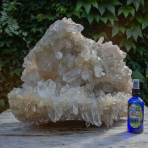 Crystal and Flower Essence | Divine Embrace